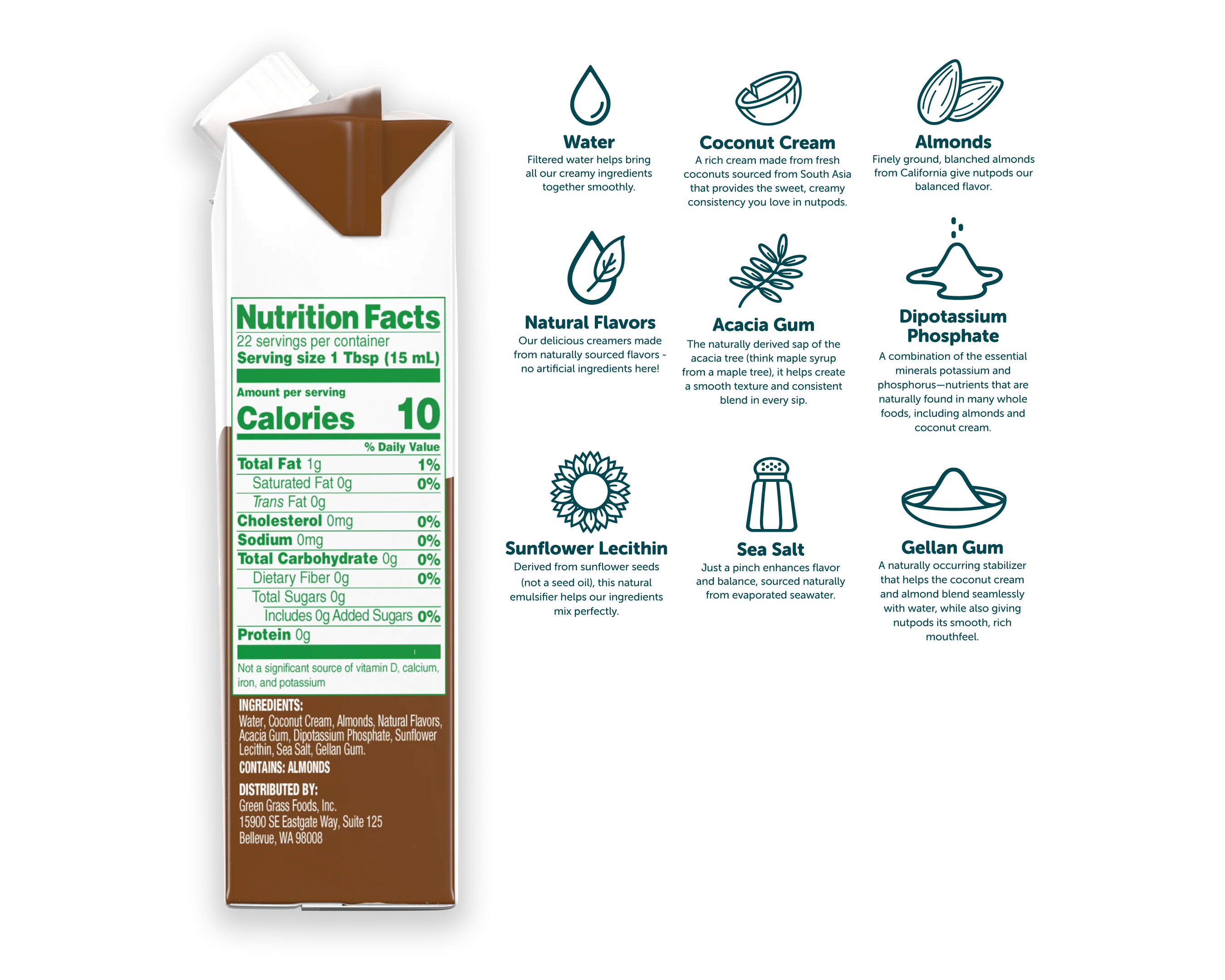 Classic Chocolate - Image 3